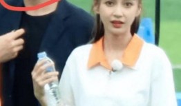 杨颖爆料恋情视频大全,甜蜜瞬间大盘点